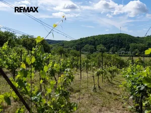 Prodej sadu/vinice, Moravské Bránice, 2403 m2