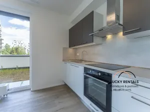 Pronájem bytu 2+kk, Praha - Vysočany, Pod Harfou, 42 m2