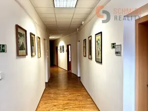 Pronájem kanceláře, Mikulov, Kostelní nám., 28 m2