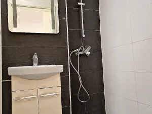 Pronájem bytu 1+kk, Ostrava, Krakovská, 22 m2