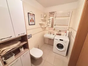 Pronájem bytu 1+kk, Praha - Nusle, V Horkách, 43 m2