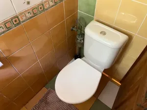 Prodej chalupy, Bousín, 200 m2
