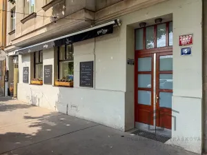 Prodej bytu 1+1, Praha - Vinohrady, Čáslavská, 39 m2