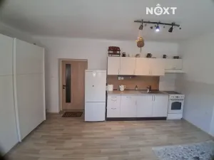 Pronájem bytu 1+kk, Ledenice, 5. května, 48 m2
