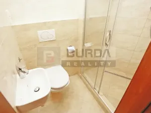 Pronájem bytu 3+kk, Mělník, Legionářů, 124 m2