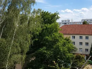 Prodej bytu 2+1, Mělník, Oldřicha Wenzla, 52 m2