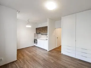 Pronájem bytu 1+kk, Praha - Vinohrady, Lucemburská, 30 m2