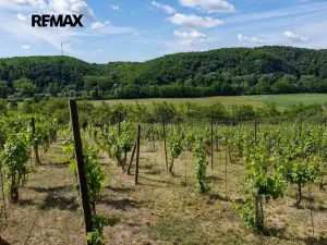 Prodej zahrady, Moravské Bránice, 2403 m2