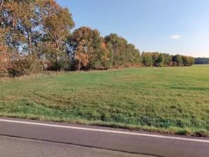 Prodej pozemku, Němčice, 4840 m2