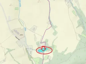 Prodej podílu lesa, Lhotsko, 3236 m2