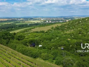 Prodej pole, Židlochovice, 3851 m2