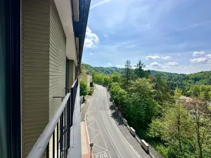Prodej bytu 3+kk, Karlovy Vary, Pražská silnice, 102 m2