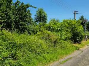 Prodej pozemku pro bydlení, Bukovina u Přelouče, 998 m2