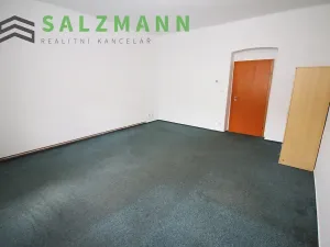 Pronájem bytu 2+kk, Plzeň, Úslavská, 45 m2