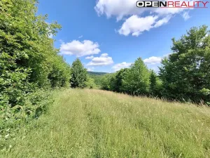 Prodej rodinného domu, Žítková, 80 m2