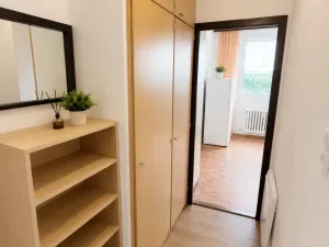Pronájem bytu 1+1, Jirkov, Generála Svobody, 33 m2