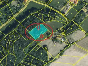 Prodej lesa, Semily, 2671 m2