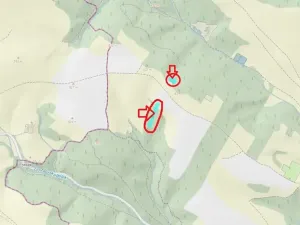 Prodej lesa, Zábřeh, 4422 m2