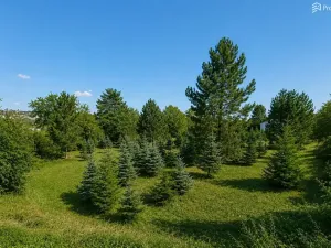 Prodej pozemku pro bydlení, Popůvky, 971 m2