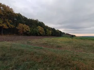 Prodej pole, Polní Chrčice, 10141 m2