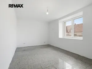 Prodej vícegeneračního domu, Kasejovice, 250 m2