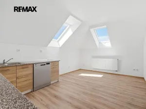 Prodej vícegeneračního domu, Kasejovice, 250 m2