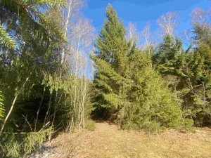 Dražba pozemku, Železná Ruda, 1644 m2