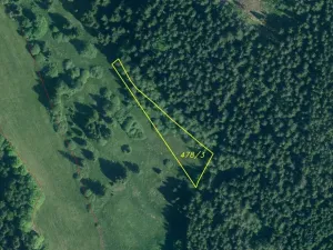 Dražba pozemku, Železná Ruda, 2377 m2