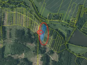 Prodej podílu lesa, Kamberk, 1844 m2