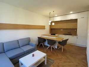 Pronájem bytu 2+kk, Praha - Žižkov, Sudoměřská, 66 m2