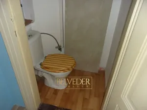 Pronájem bytu 1+1, Teplice, Smetanova, 50 m2