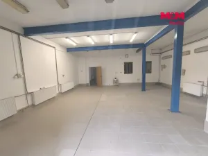Pronájem obchodního prostoru, Ústí nad Labem - Ústí nad Labem-centrum, Hoření, 140 m2