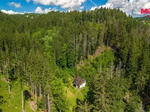 Prodej lesa, Jablonec nad Jizerou - Dolní Tříč, 18052 m2