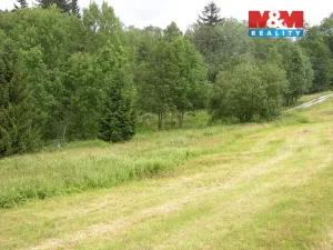 Prodej louky, Benecko, 4214 m2