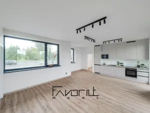Pronájem bytu 4+kk, Ostrava, U Hrůbků, 111 m2
