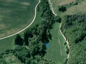 Prodej lesa, Hradčovice, 207 m2