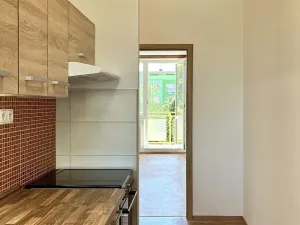 Pronájem bytu 1+1, Brno, Palackého třída, 39 m2