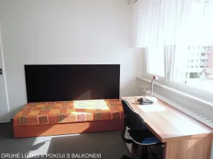 Pronájem pokoje, Brno, Běloruská, 17 m2