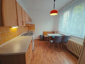Pronájem bytu 1+1, Ústí nad Labem, Voskovcova, 39 m2