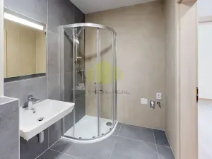Pronájem bytu 1+kk, Olomouc, Topolová, 38 m2