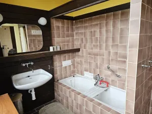 Pronájem bytu 4+1, Plzeň - Východní Předměstí, Americká, 152 m2
