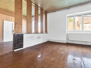 Prodej obchodního prostoru, Třebíč, Bedřicha Václavka, 250 m2