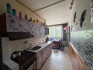 Prodej bytu 2+1, Horní Slavkov, U Lesoparku, 61 m2