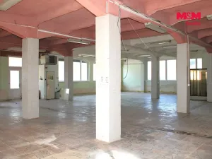 Pronájem obchodního prostoru, Nová Paka, Kotíkova, 330 m2