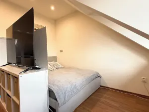 Prodej bytu 3+kk, Krnov, 84 m2