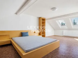 Pronájem rodinného domu, Praha - Řepy, Doubravínova, 480 m2