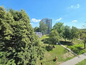 Prodej bytu 2+1, Hradec Králové, Truhlářská, 68 m2
