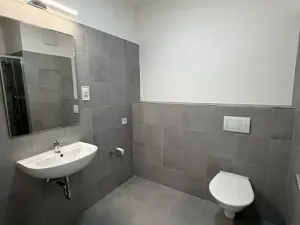 Pronájem bytu 1+kk, Praha - Vysočany, Gerstelova, 43 m2