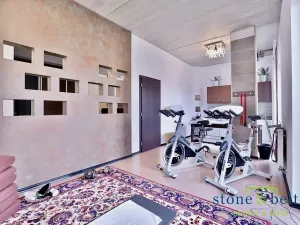 Prodej ubytování, Kolín, Slovenská, 394 m2