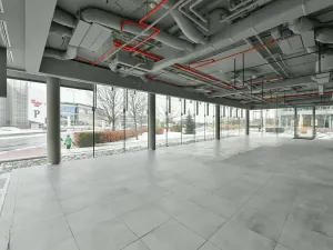 Pronájem kanceláře, Praha - Chodov, V parku, 1075 m2